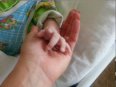 История Вани Лавочкина или ВСЁ БУДЕТ ХОРОШО!